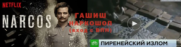 дмт Алзамай