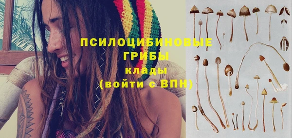 дмт Алзамай